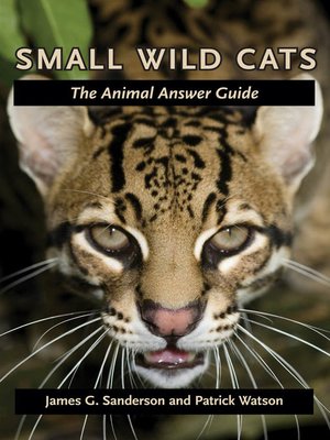 cover image of Small Wild Cats